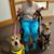 Doris Burrow's profile image