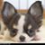 Robin Smith's profile image