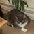 Margaret Rosadini's profile image