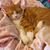 Shari Hitson's profile image
