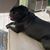 Erin O'Leary Kinahan's profile image