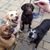 Christine Henkel Marks's profile image