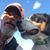 Al Webster's profile image