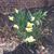 Kate Chesser's profile image