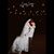 Sommer Nicole Stallings's profile image