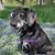 Denise Hatala's profile image