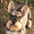 Jackie Benner Schneider's profile image