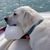 Missy DeFerraro Platt's profile image