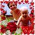 Renee Rienas Badall's profile image