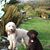 Connie Cavin's profile image