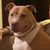 Tammy Cahall Harrold's profile image