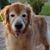 Patricia Albano's profile image