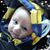 Tonya Wigginton's profile image