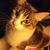 Christi Lee Higgins's profile image
