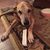 Suzanne Koehler Lancaster's profile image