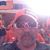 Johnny Dalpaos's profile image