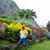 Subhendu Dutta's profile image