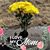 Mary Ann Madera's profile image