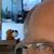 Joe Digby's profile image