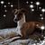 Linda Culver's profile image