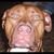 Emily Serafini's profile image