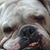 Rusty Hensley's profile image