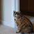 Pamela McCarty's profile image