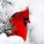 MariAnn Hupp's profile image