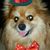 Kathy Sochor's profile image