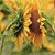 Christine Cloutier's profile image