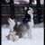 Patricia L. Romig's profile image