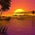 Dawn Conrad's profile image