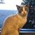 Reese McAlpin McClanahan's profile image