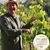 Martin Kerres's profile image