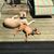 Landon Fortunato's profile image