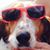Cheryl Patterson's profile image