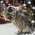 Debbie Benoist Wisdom's profile image