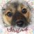 Angela Webb Dufresne's profile image