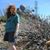 Ellen Sherwood's profile image