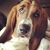 Karen Weitman Brastoff's profile image