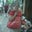 Pam N's profile image