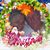 Rite Corzo's profile image