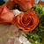 Lois Ann Limberty-Patterson's profile image
