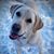 Jennifer Van Pelt Tucker's profile image