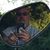 Walt Friedrich's profile image