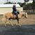 Sheila Munday's profile image
