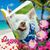Darleen Lyons's profile image