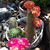 Braswell Patricia's profile image