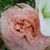 Marie Jochum's profile image