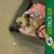Betty Ullery-Pape's profile image